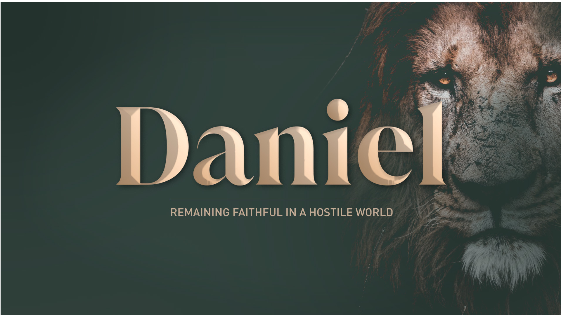 The Sunday Scrum - DANIEL: Our Sovereign Redeemer Image
